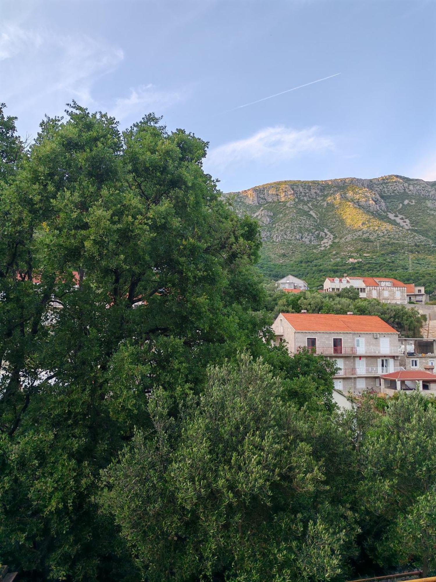 Apartment Oscar Mokošica Pokój zdjęcie
